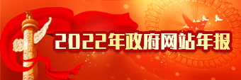 2022年政府网站年报