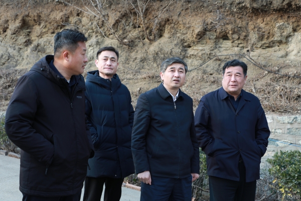 胡民安开展巡林督导工作