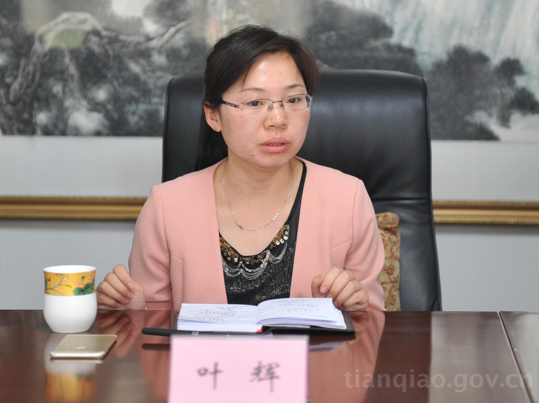 区委常委,宣传部部长叶辉作重要讲话