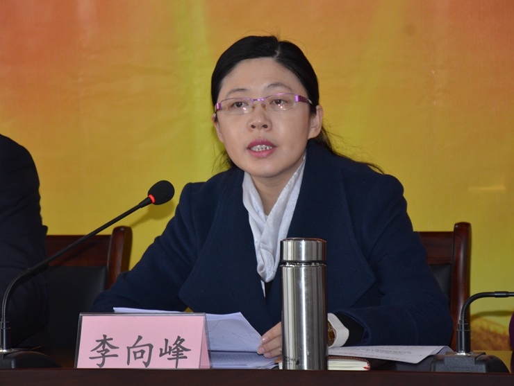 党工委副书记,办事处主任李向峰作安排部署